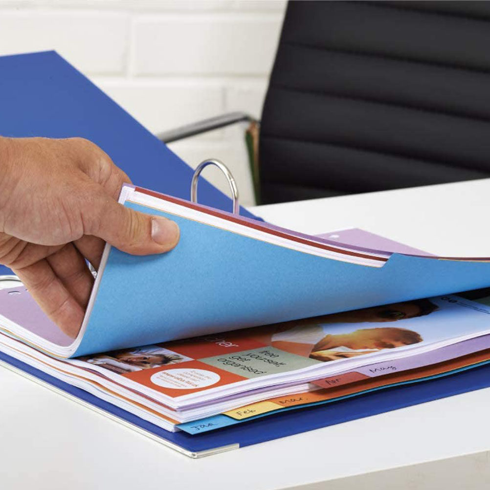 12 Stück A4-Indextrennblätter  – Tab Divider A4 Bewertung und Preis